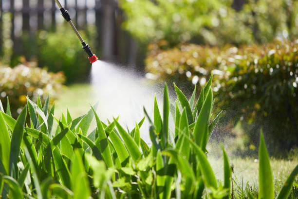24/7 Emergency Mosquito Control experts in Grand Island, NE