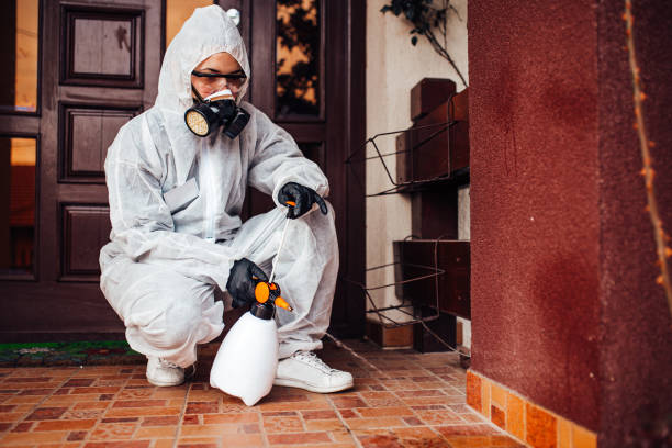 Reliable Mosquito Control contractor in Grand Island, NE by Show Me Pest Control